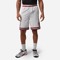 Jordan Sport Shorts Dri-FIT IF5832-100