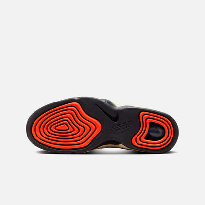 Air Penny II DV7229 700