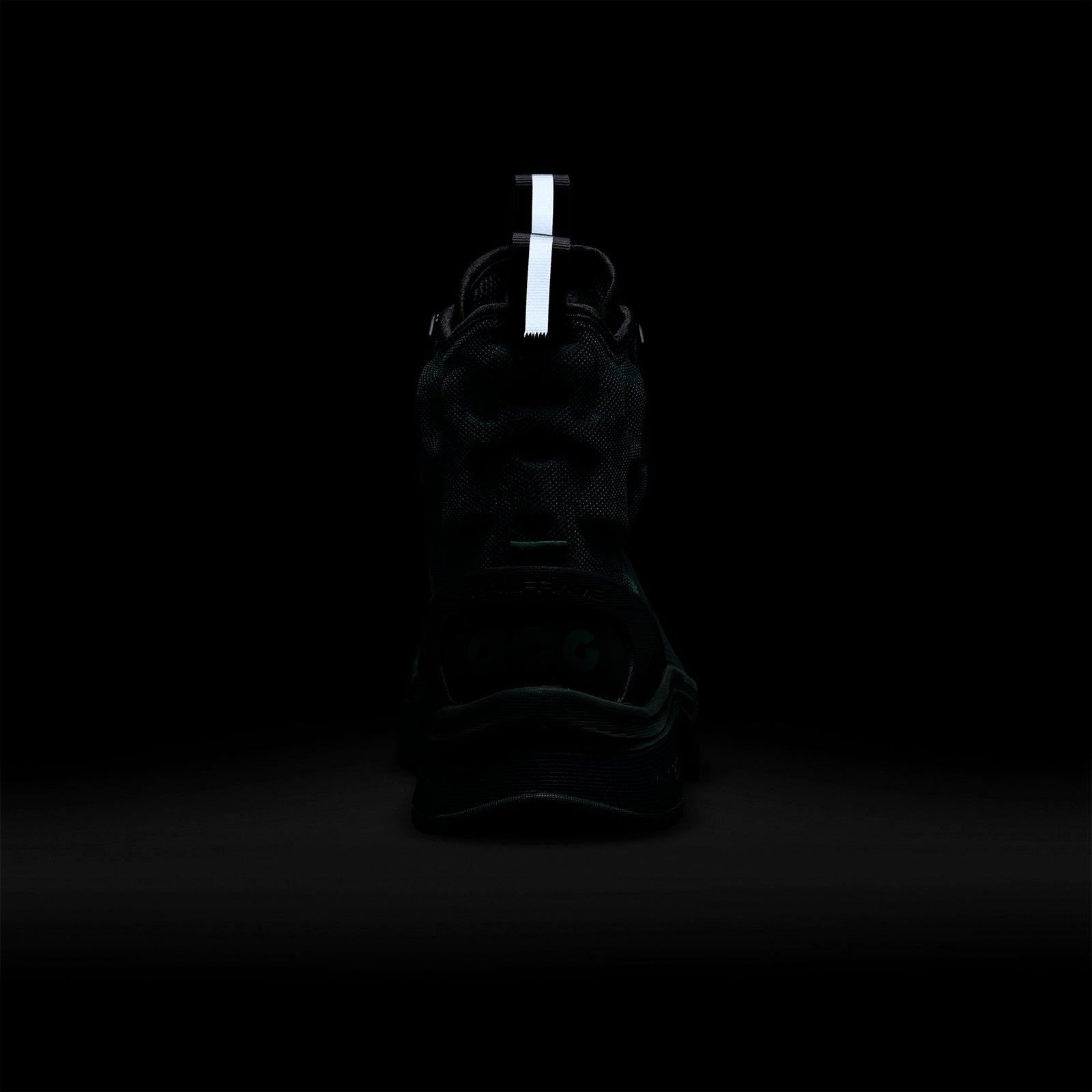 ACG Air Zoom Gaiadome GORE TEX DD2858 300